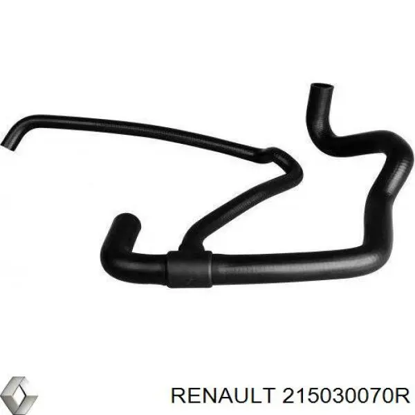 Manguera refrigerante para radiador inferiora 215030070R Renault (RVI)