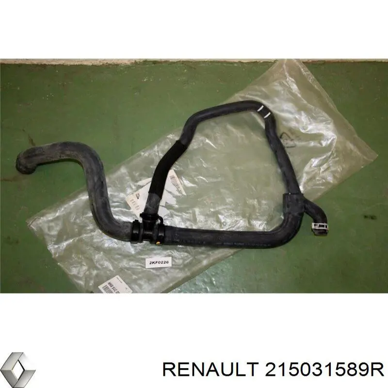215031589R Renault (RVI) шланг (патрубок радиатора охлаждения нижний)