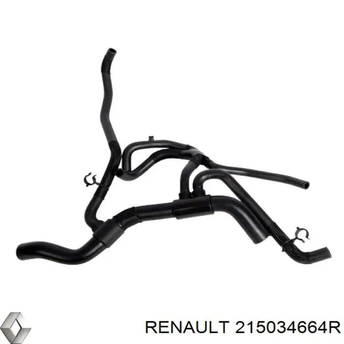 215034664R Renault (RVI) mangueira (cano derivado inferior do radiador de esfriamento)