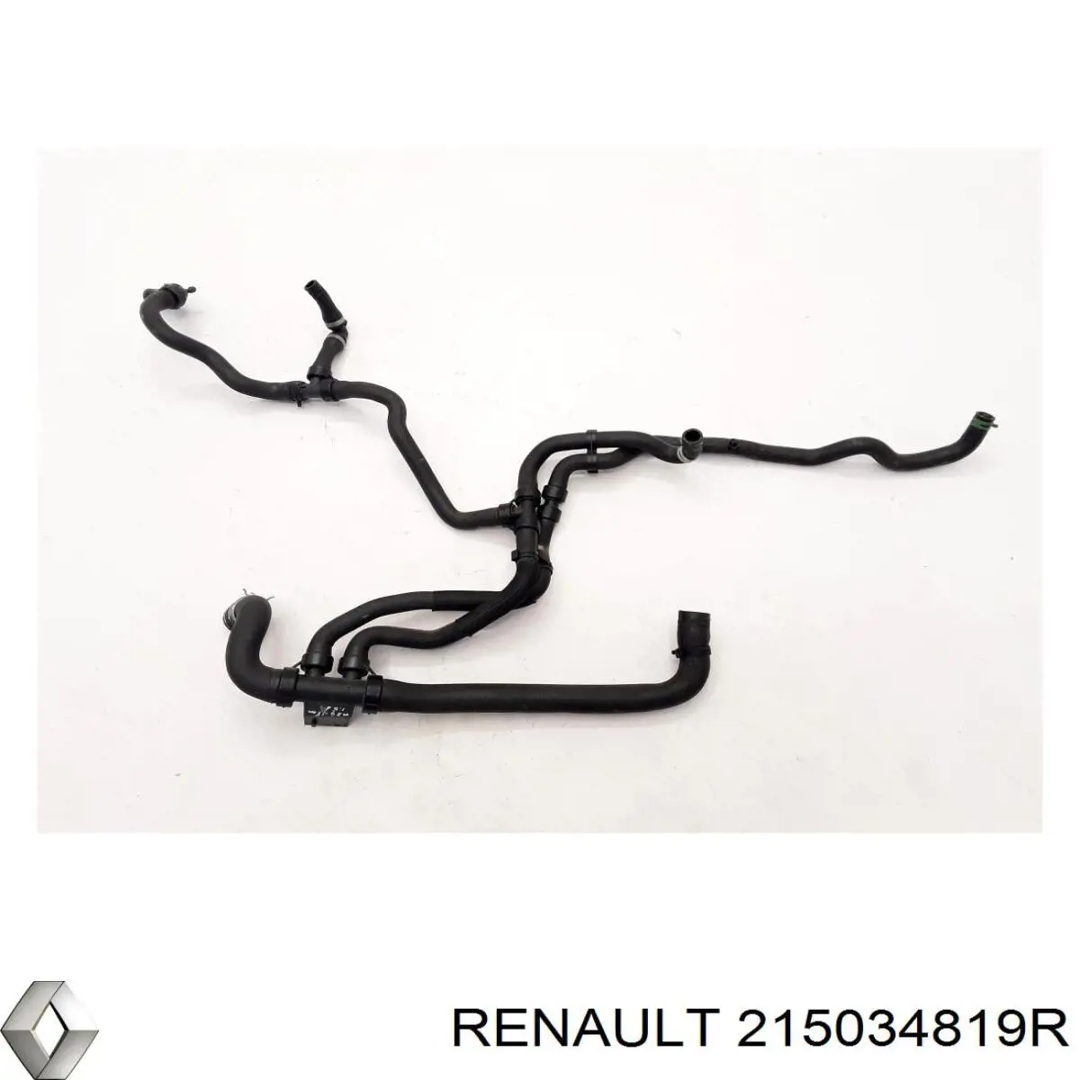  215034819R Renault (RVI)