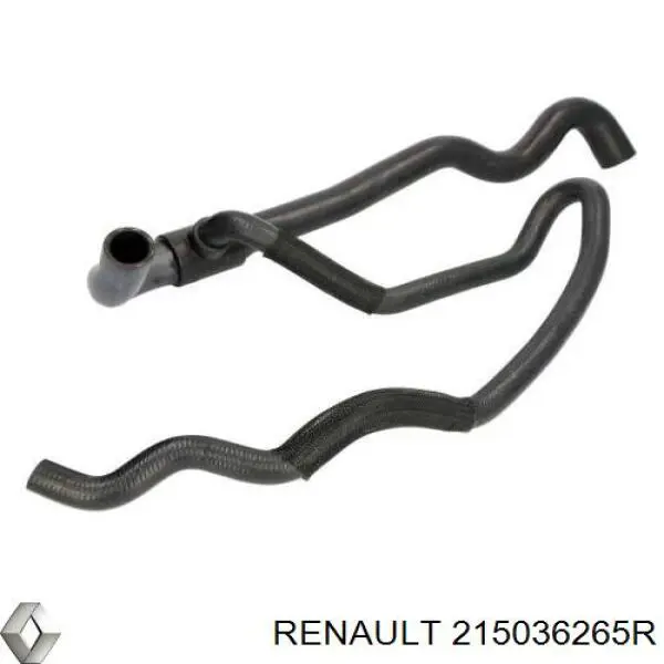 Mangueira (cano derivado) inferior do radiador de esfriamento para Renault SANDERO 