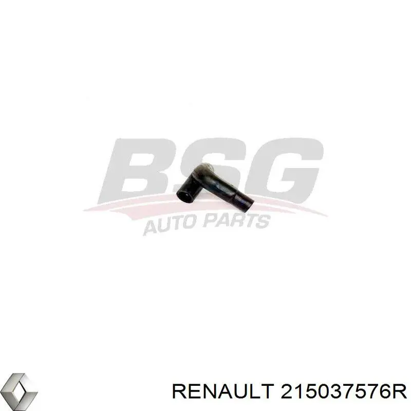  215037576R Renault (RVI)