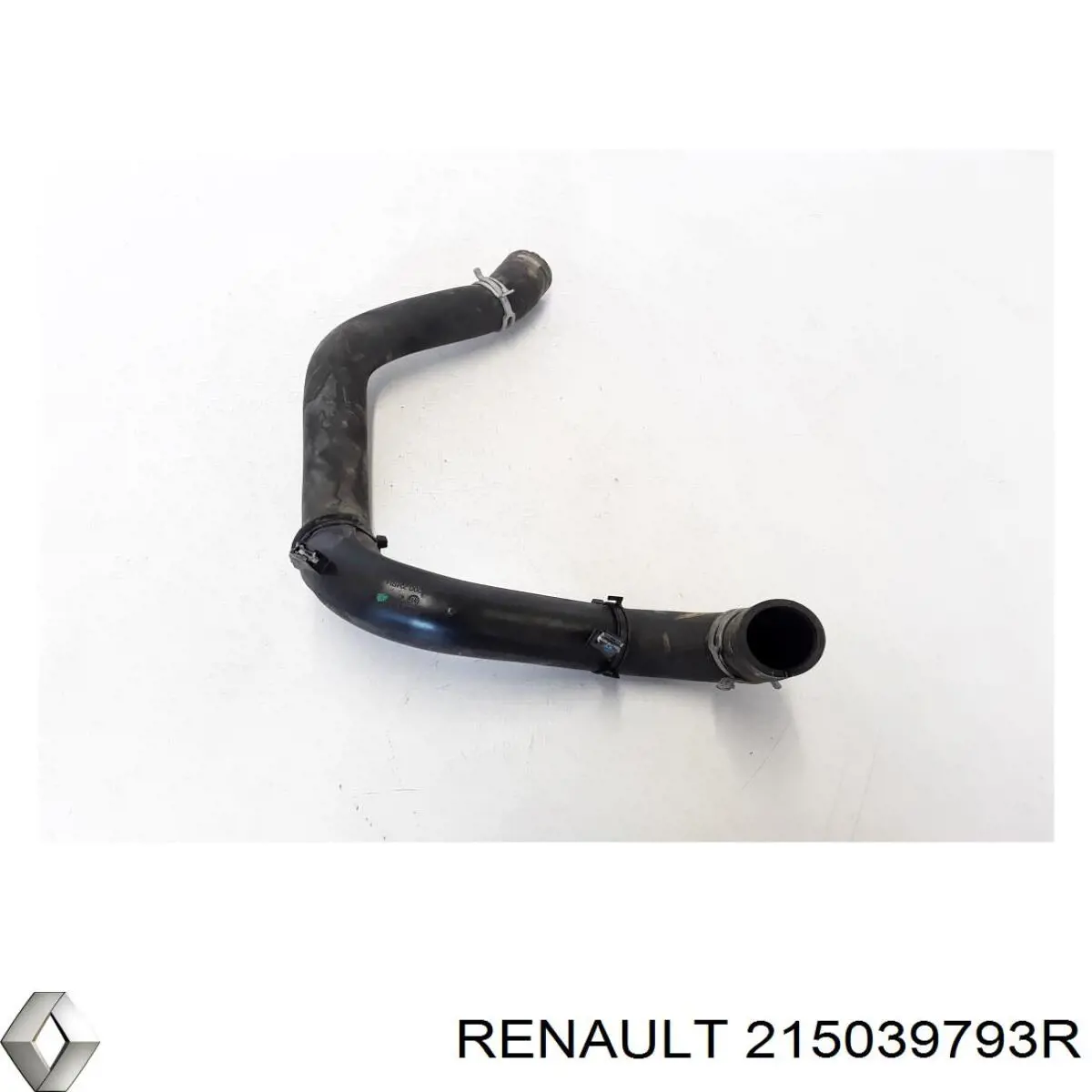  215039793R Renault (RVI)