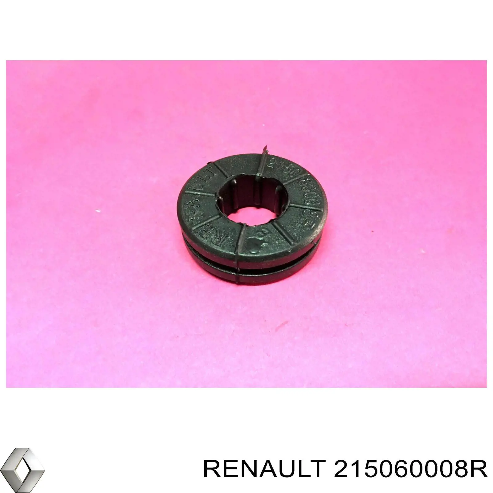 215060008R Renault (RVI)