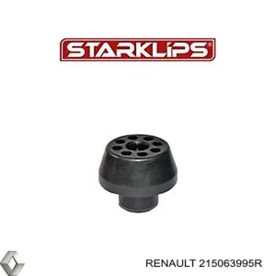 215063995R Renault (RVI) Подушка радиаотра нижняя