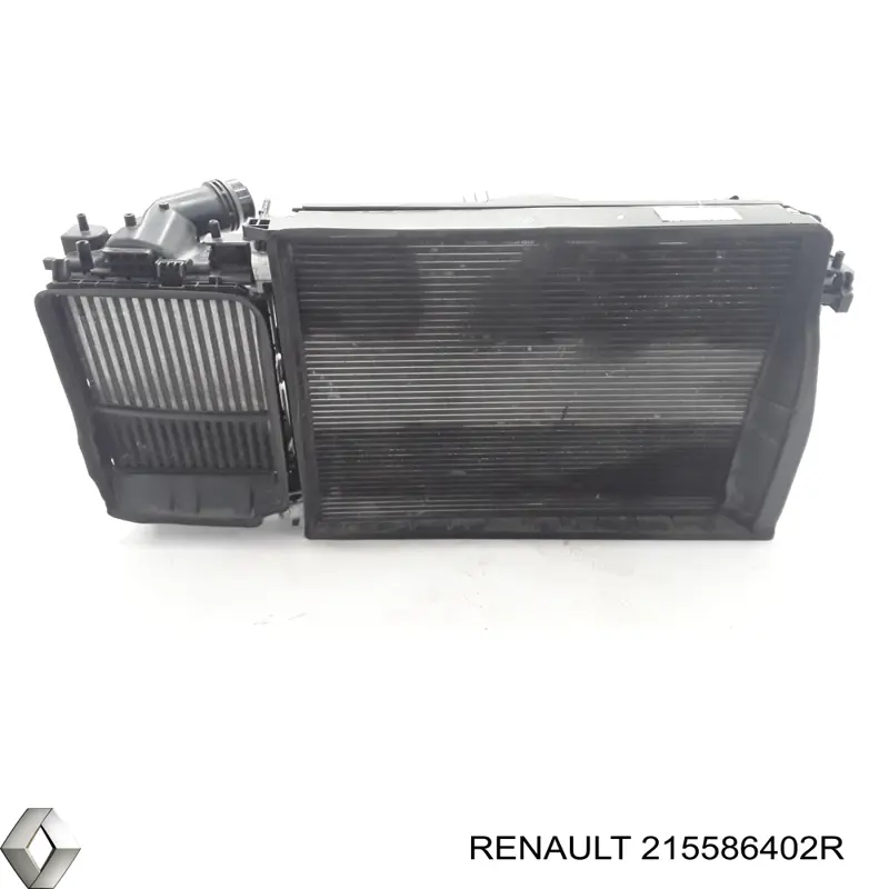 215586402R Renault (RVI)