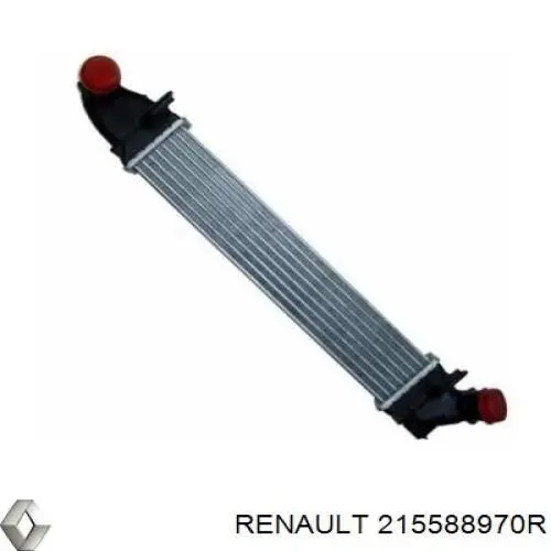  215588970R Renault (RVI)