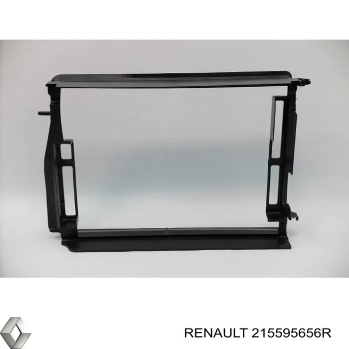  215595656R Renault (RVI)