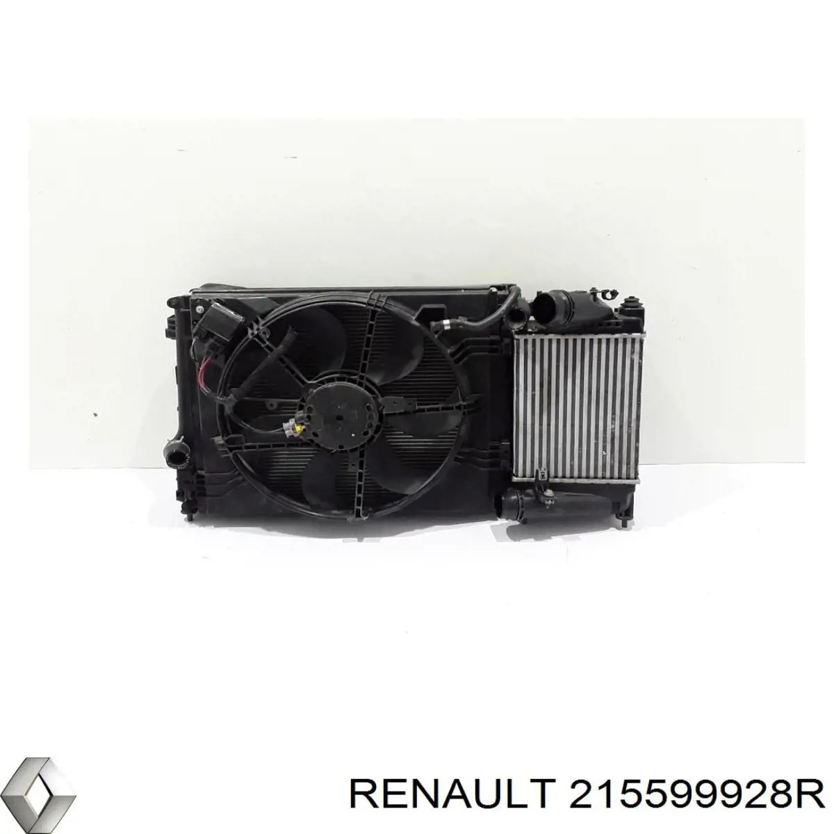  215599928R Renault (RVI)