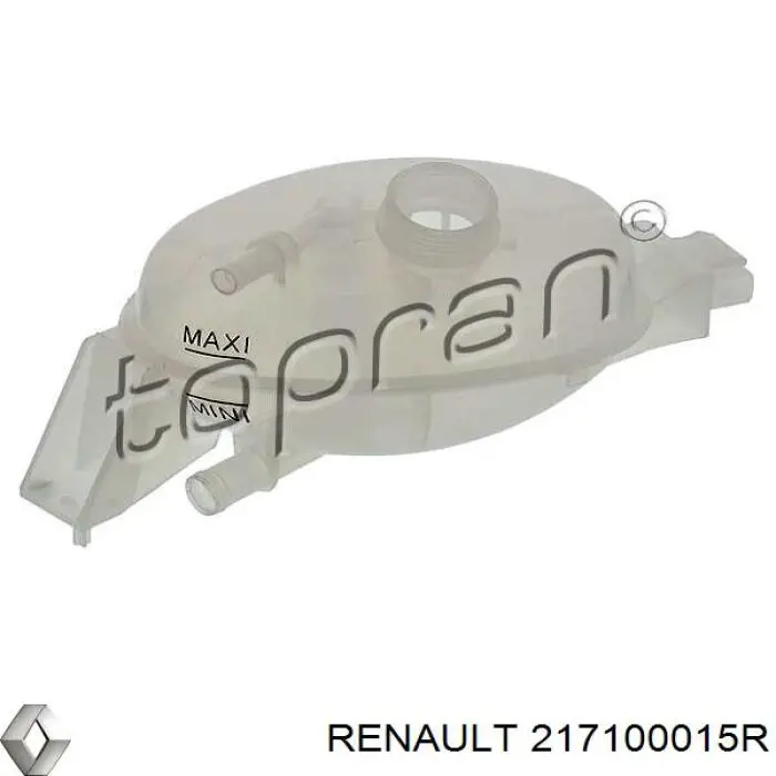  Расширительный бачок Renault (RVI) 217100015R