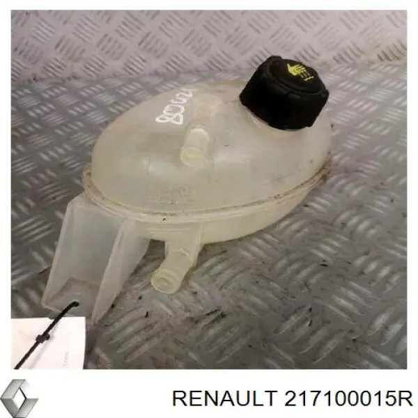 Бачок системы охлаждения 217100015R Renault (RVI)