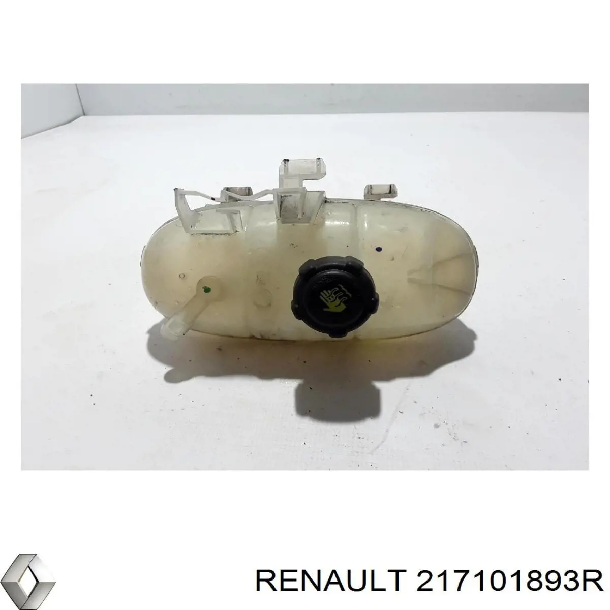 Купить 217101893R Renault (RVI) 