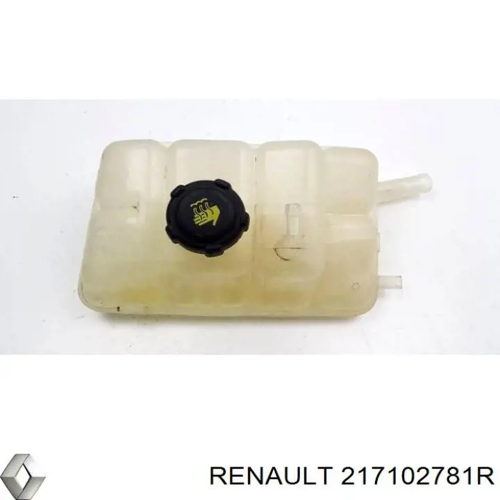 Бачок системы охлаждения 217102781R Renault (RVI)