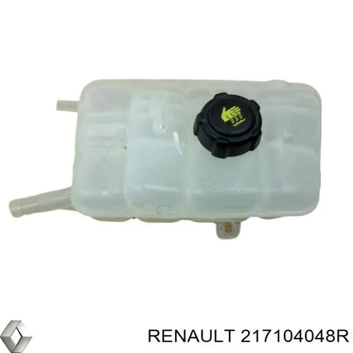 217104048R Renault (RVI) 