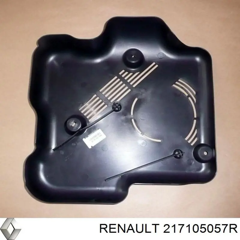  Расширительный бачок Renault (RVI) 217105057R