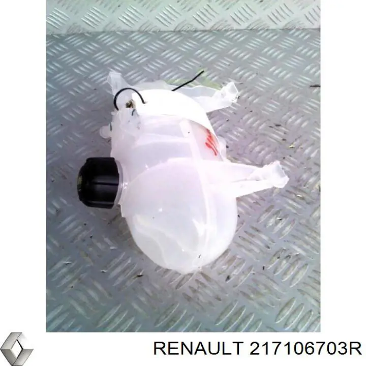 Tanque de expansão do sistema de esfriamento Renault (RVI) 217106703R preço, a partir de 100,49 USD