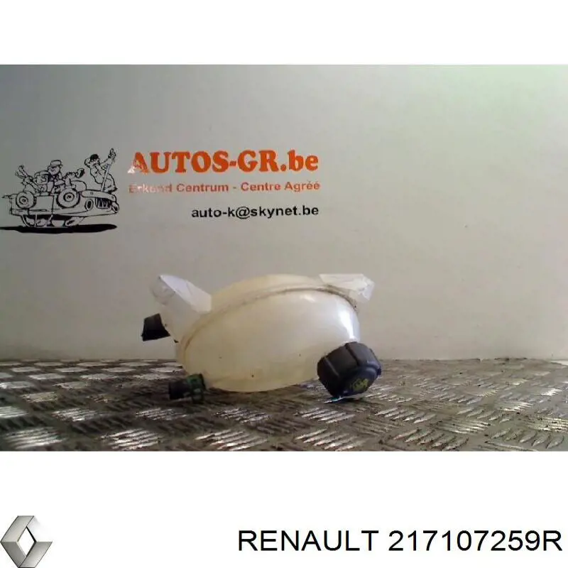 Бачок системы охлаждения 217107259R Renault (RVI)