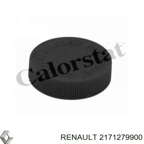 2171279900 Renault (RVI) крышка (пробка расширительного бачка)