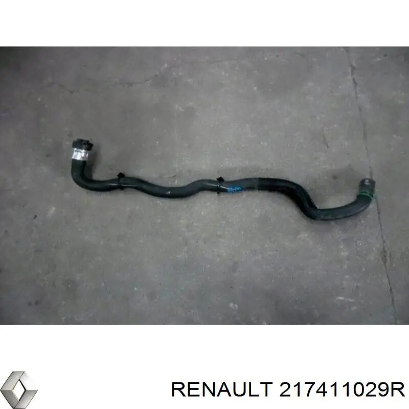 217411029R Renault (RVI) 