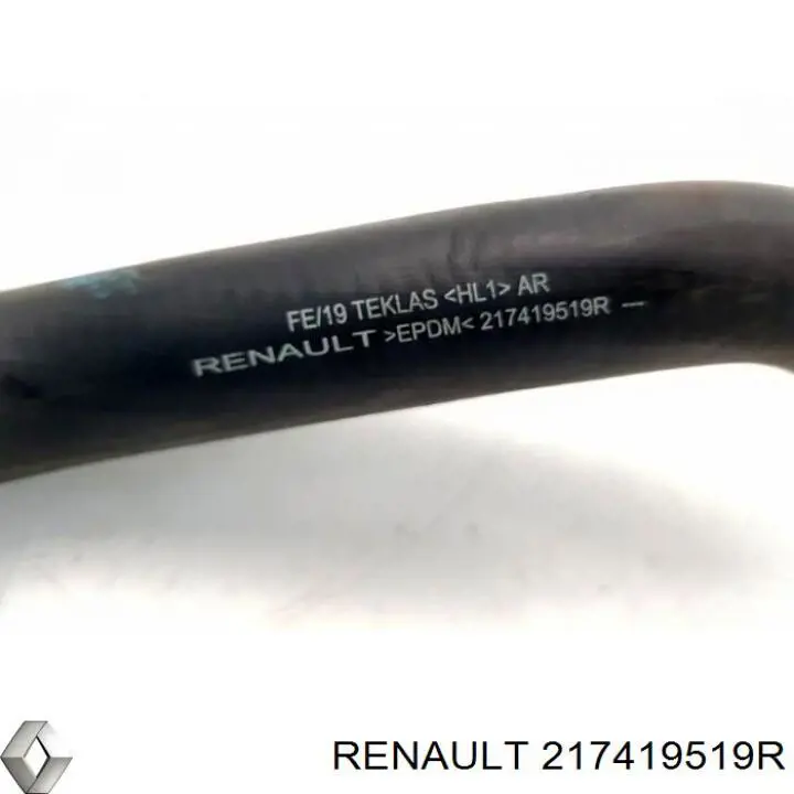 217419519R Renault (RVI) 