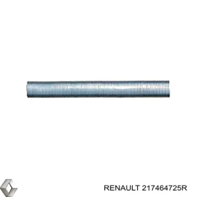 Cápsula (prendedor) de fixação do pára-choque dianteiro para Renault Scenic (R9)