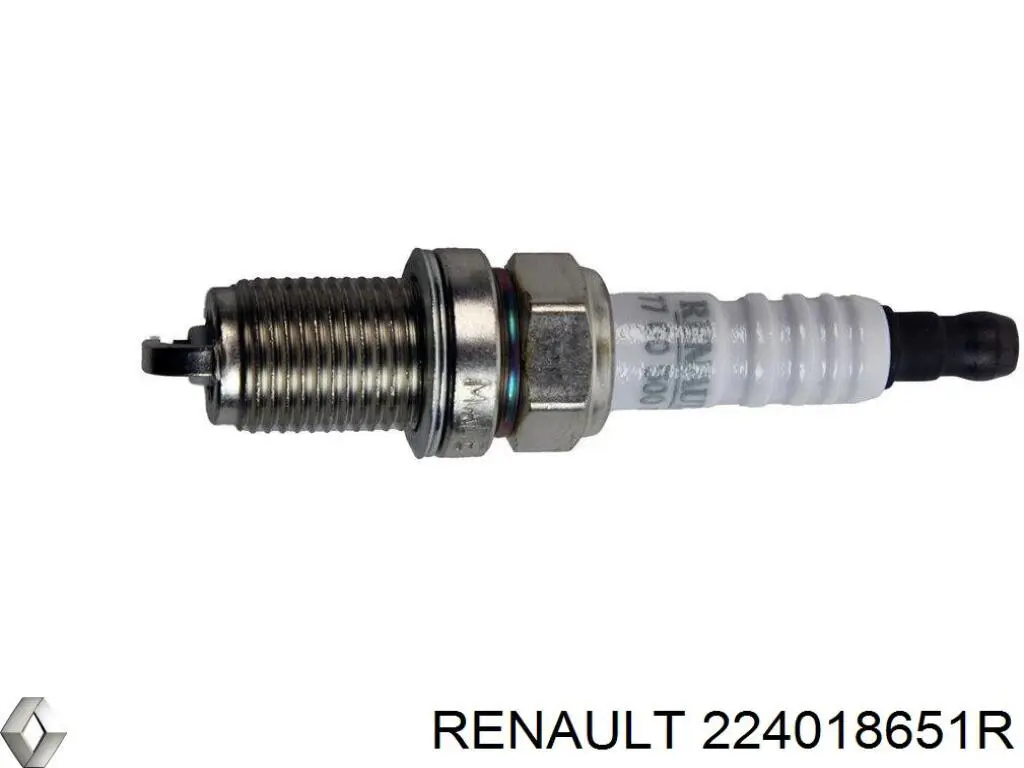 224018651R Renault (RVI)