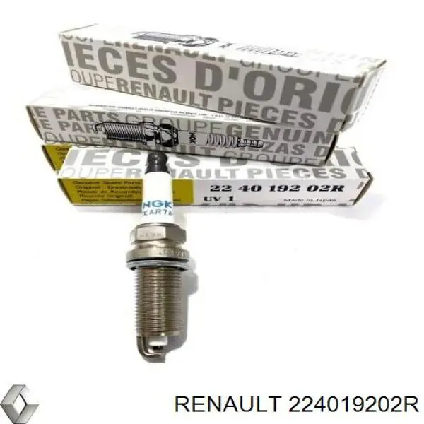  224019202R Renault (RVI)