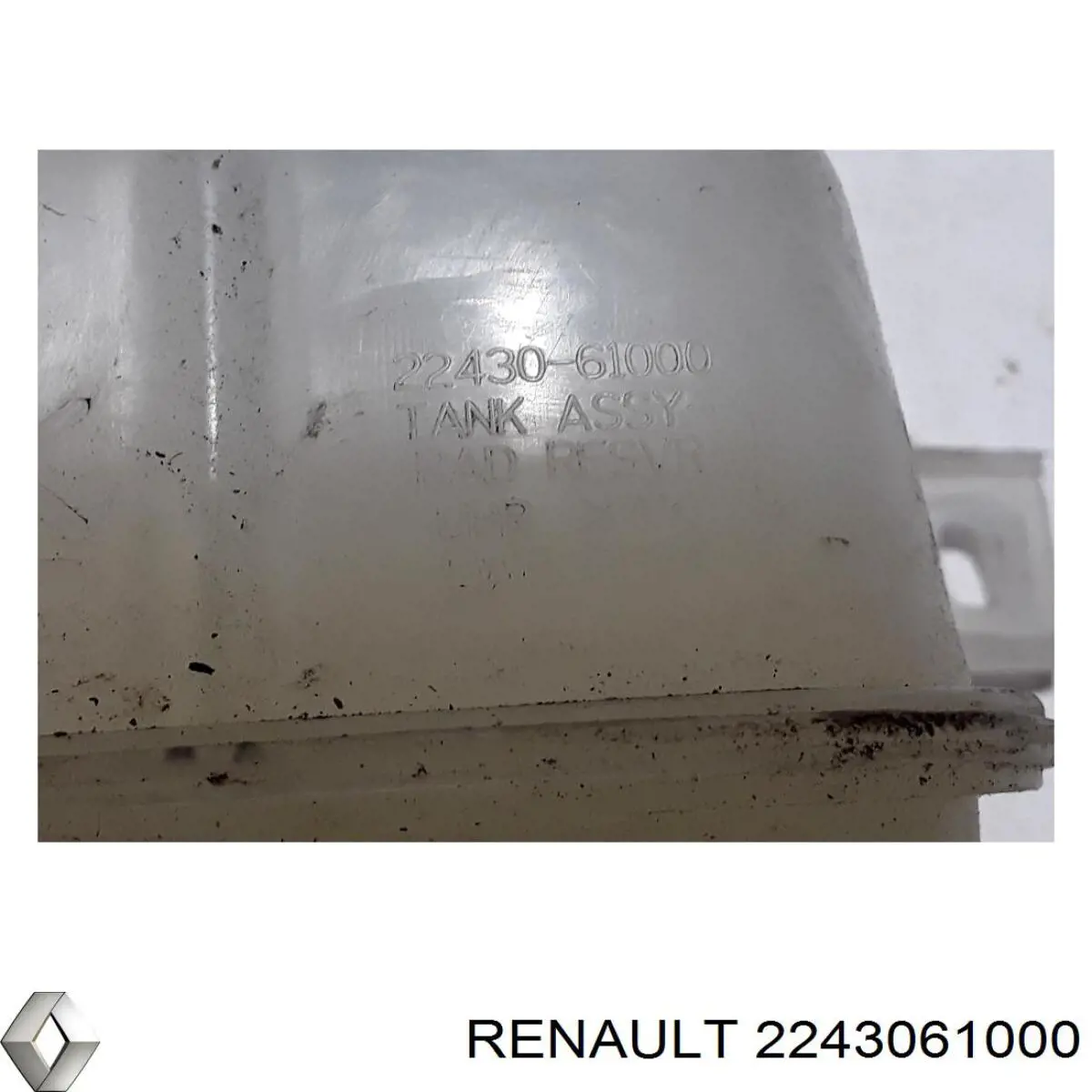  2243061000 Renault (RVI)