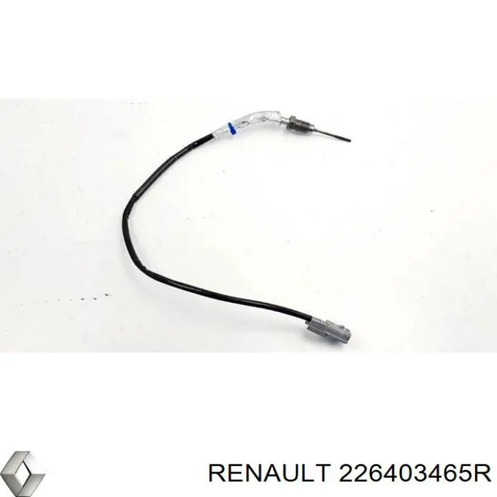 226403465R Renault (RVI) 