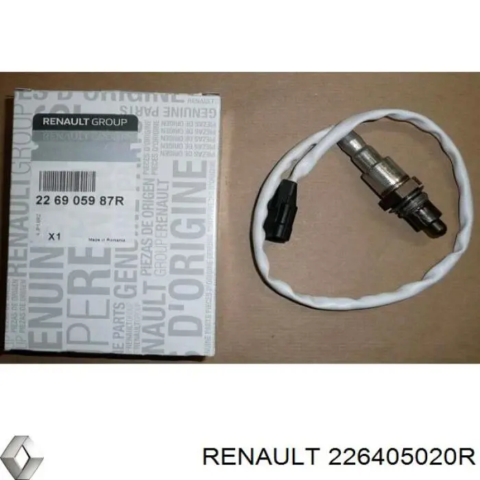 226405020R Renault (RVI) 