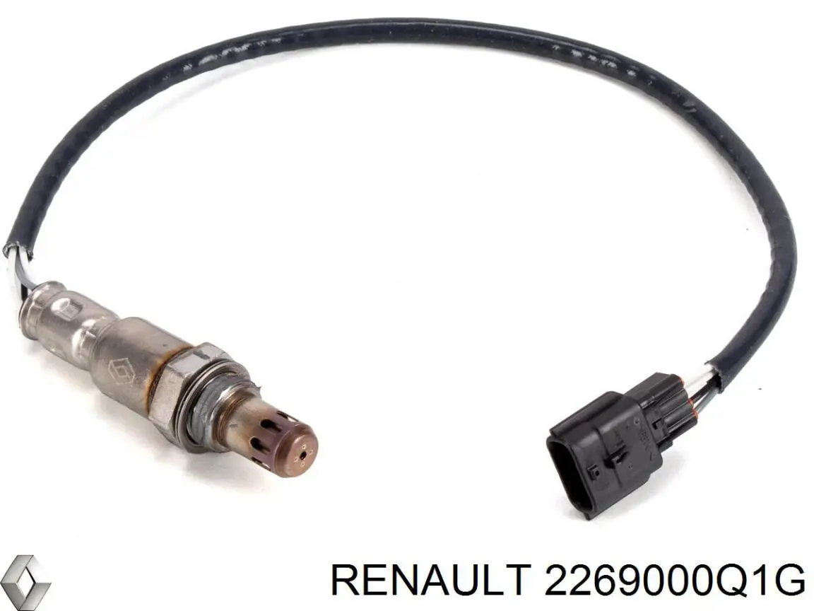  2269000Q1G Renault (RVI)