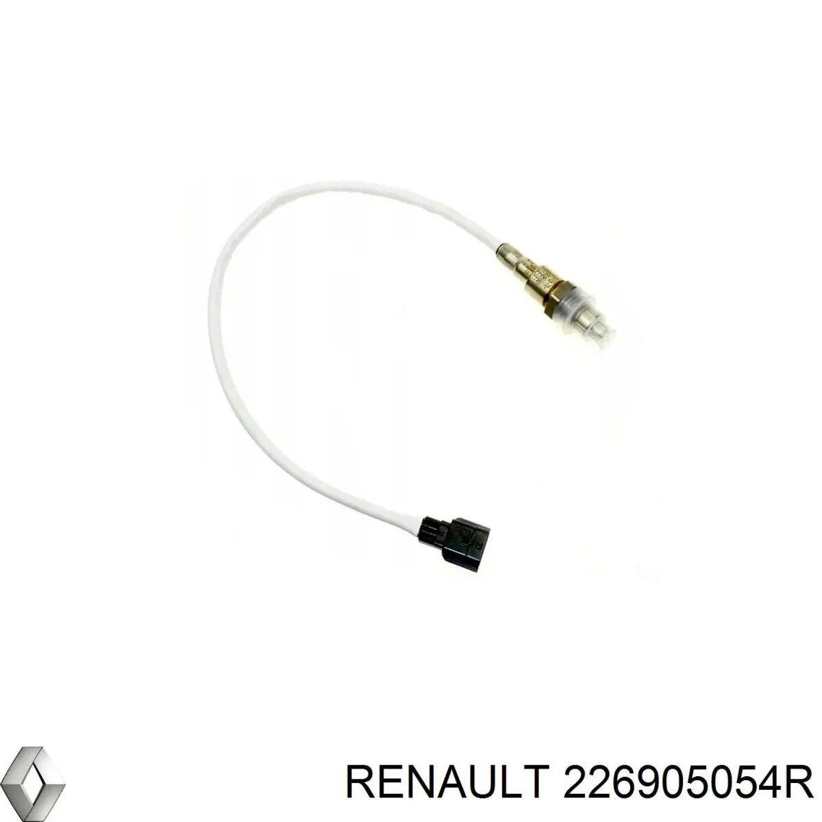 226905054R Renault (RVI)