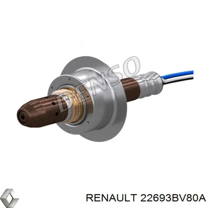22693BV80A Renault (RVI)