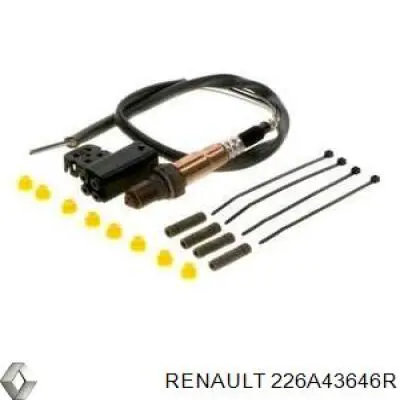 226A43646R Renault (RVI) 