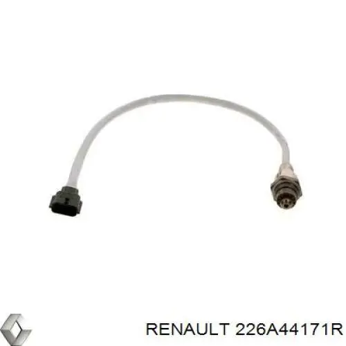 226A44171R Renault (RVI)