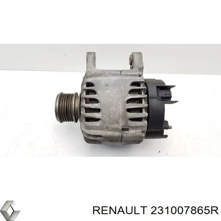 231007865R Renault (RVI)