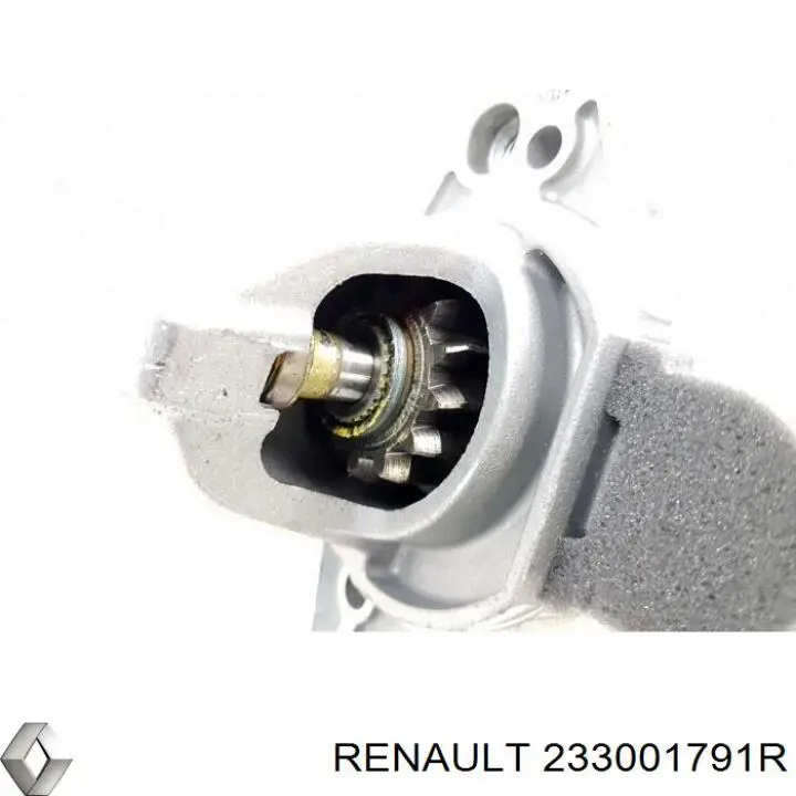 233001791R Renault (RVI)