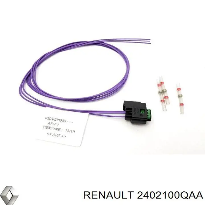 2402100QAA Renault (RVI) 