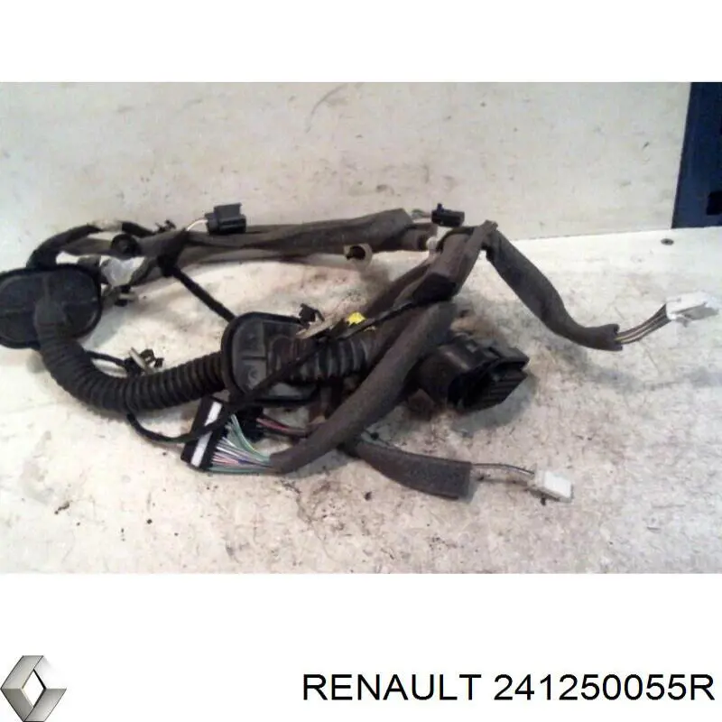  241250055R Renault (RVI)