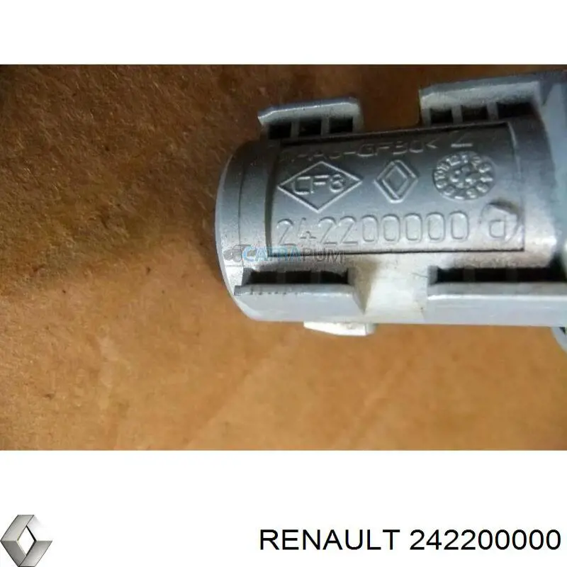  242200000 Renault (RVI)