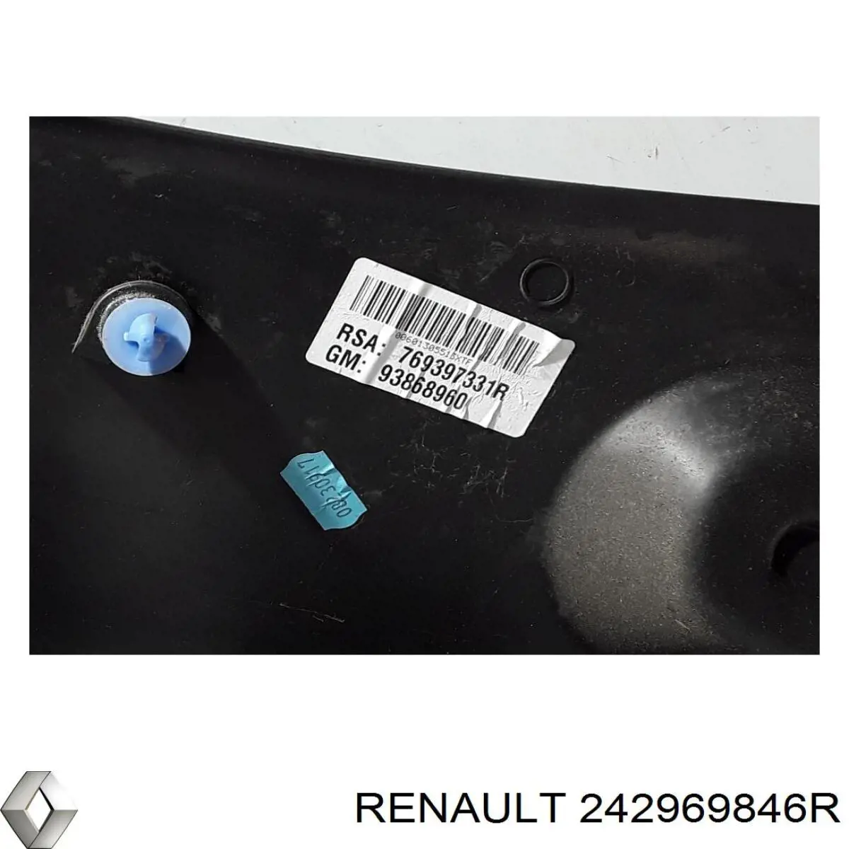 242969846R Renault (RVI) 