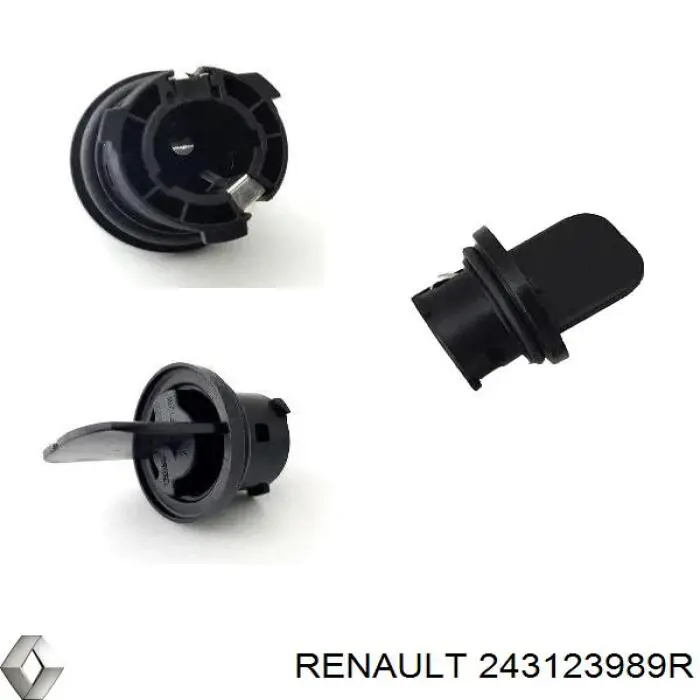  243123989R Renault (RVI)