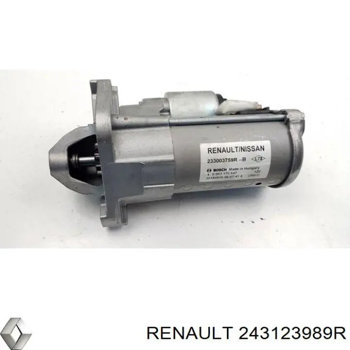 243123989R Renault (RVI) 