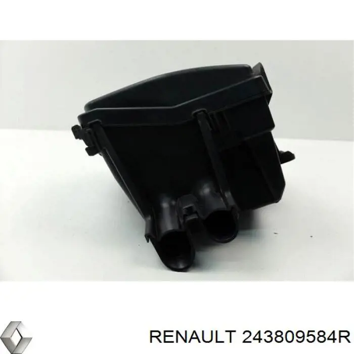 243809584R Renault (RVI)