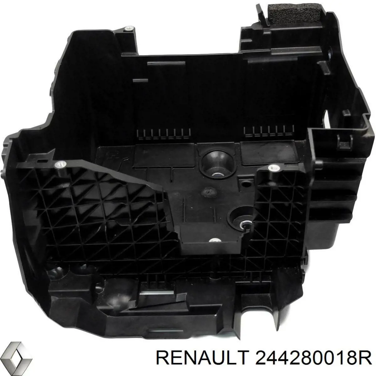  244280018R Renault (RVI)