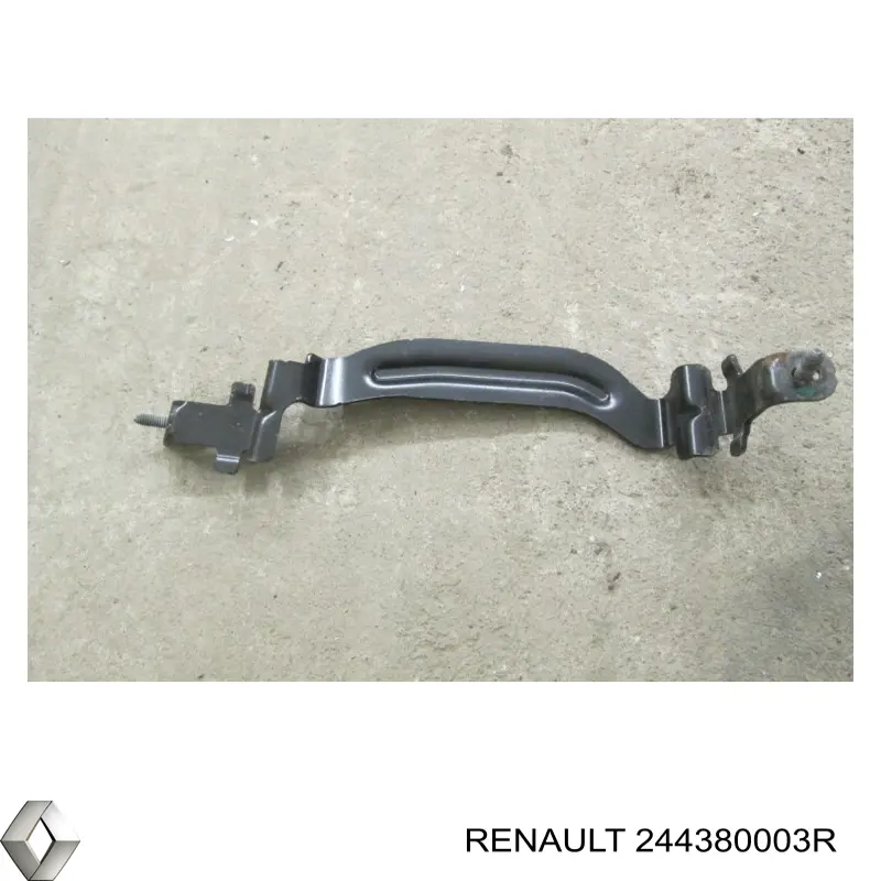 244380003R Renault (RVI) 