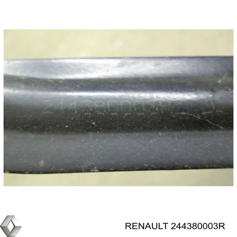 244380003R Renault (RVI) 