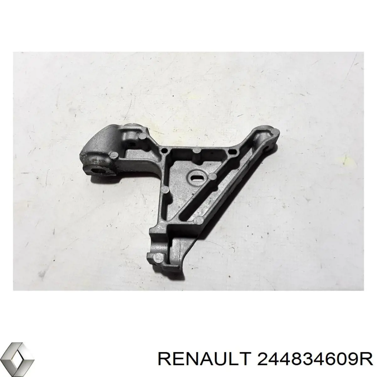 244834609R Renault (RVI) 