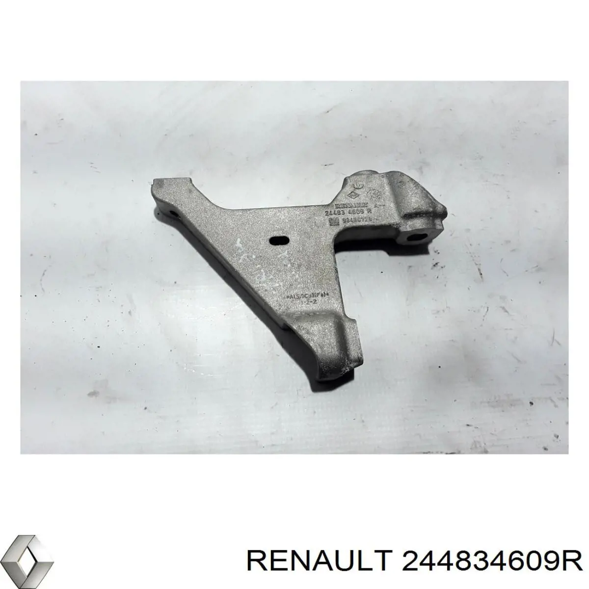 Купить 244834609R Renault (RVI) 