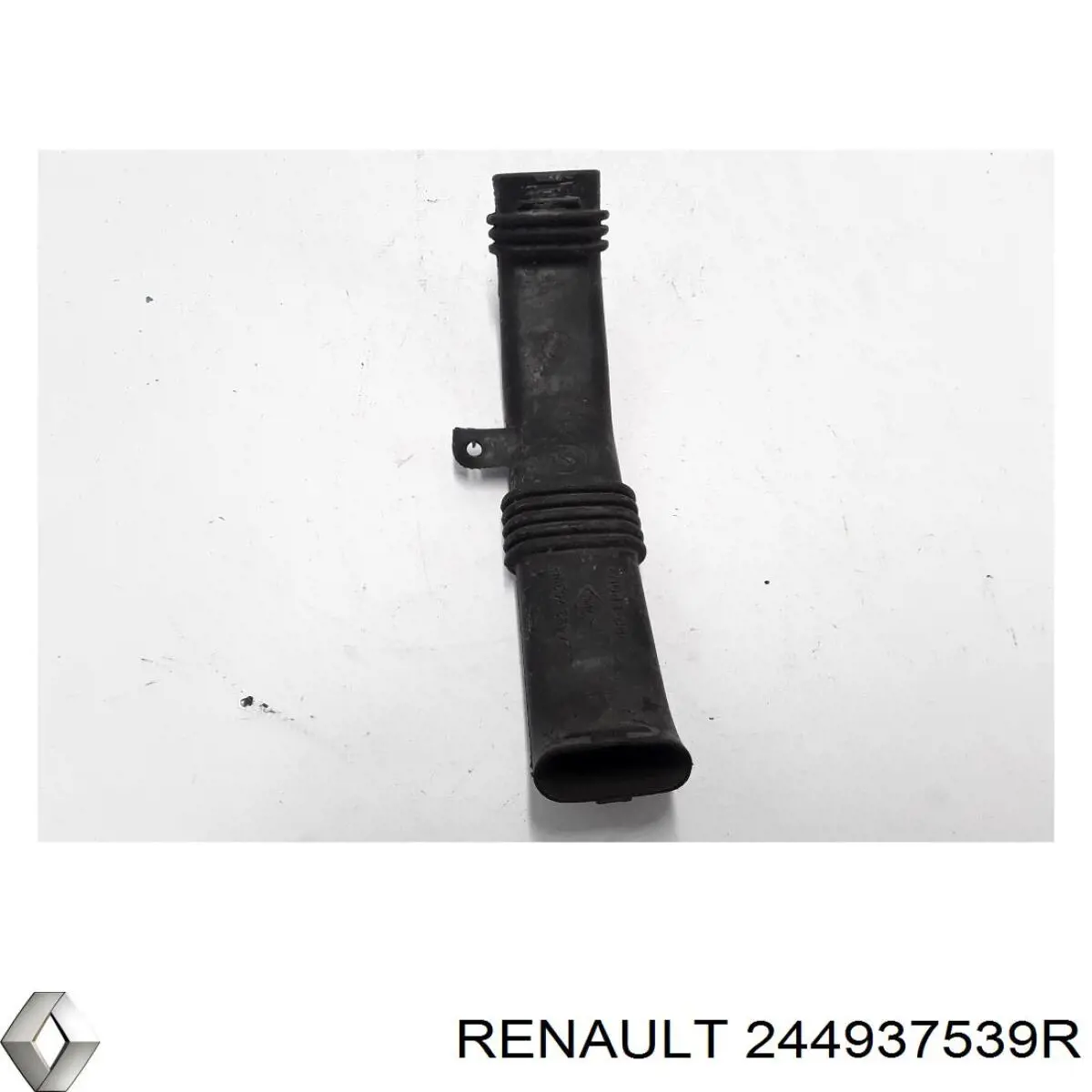 244937539R Renault (RVI) 
